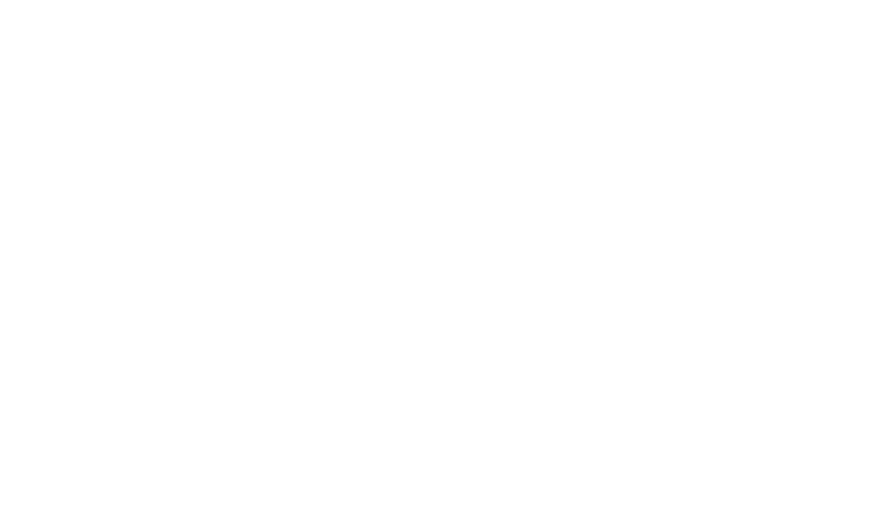 ZM40 Logo